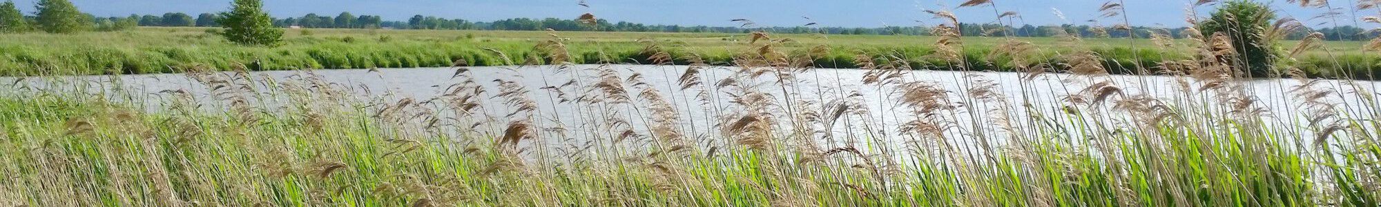 Ferienwohnung Teichblick im Brookmerland