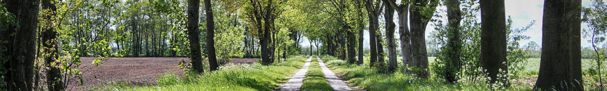 Ferienwohnung Teichblick im Brookmerland